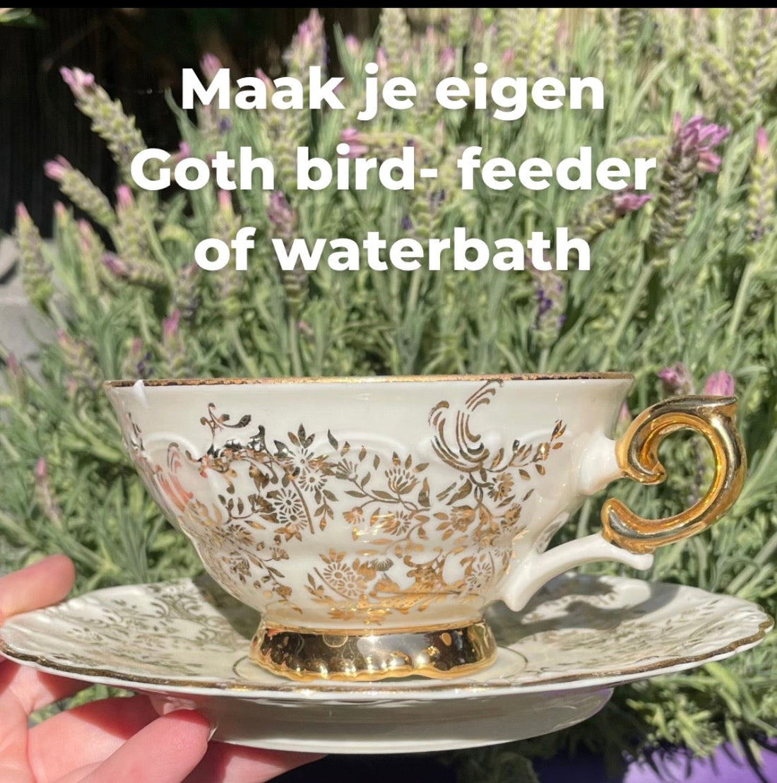 Hoe maak je goth bird bath/feeder voor de vogels?
