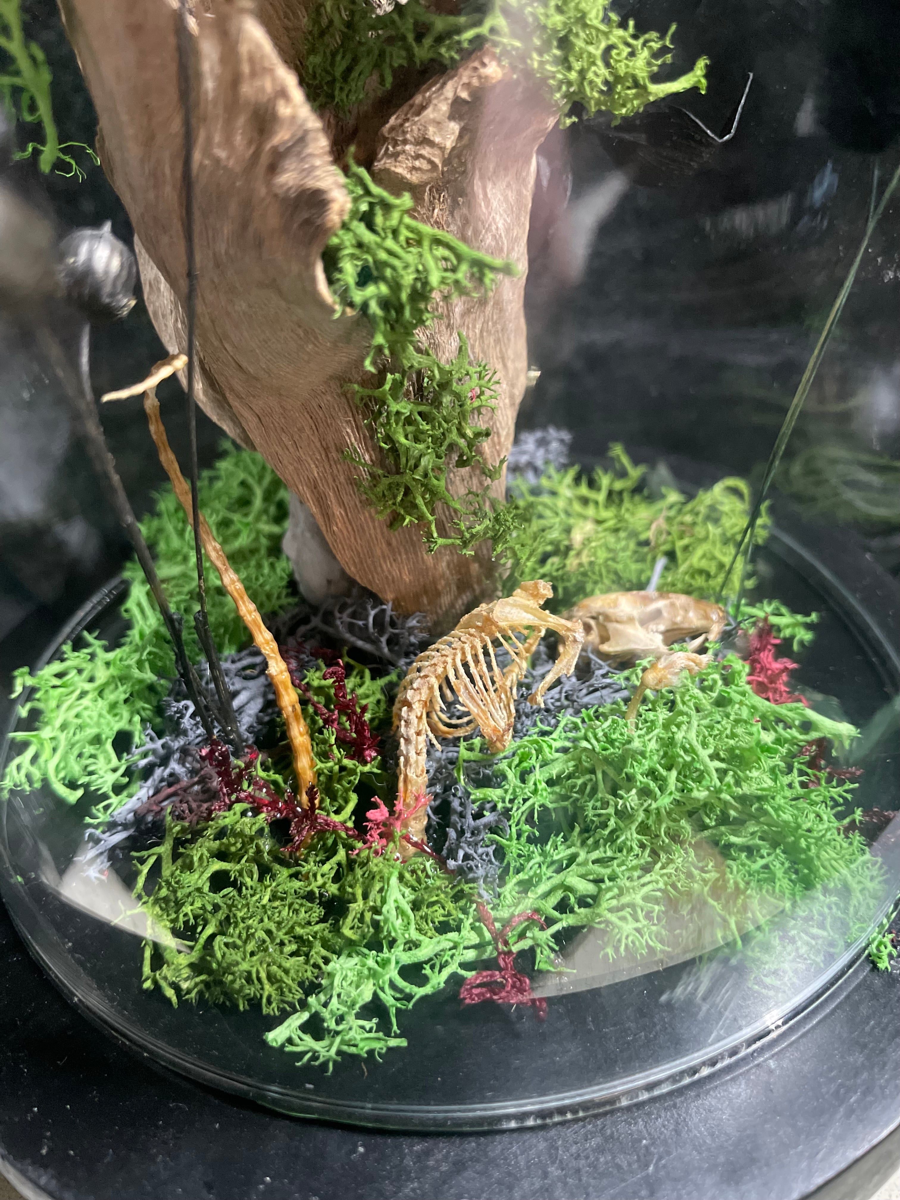 glazen stolp slang en muizenskelet Manasa