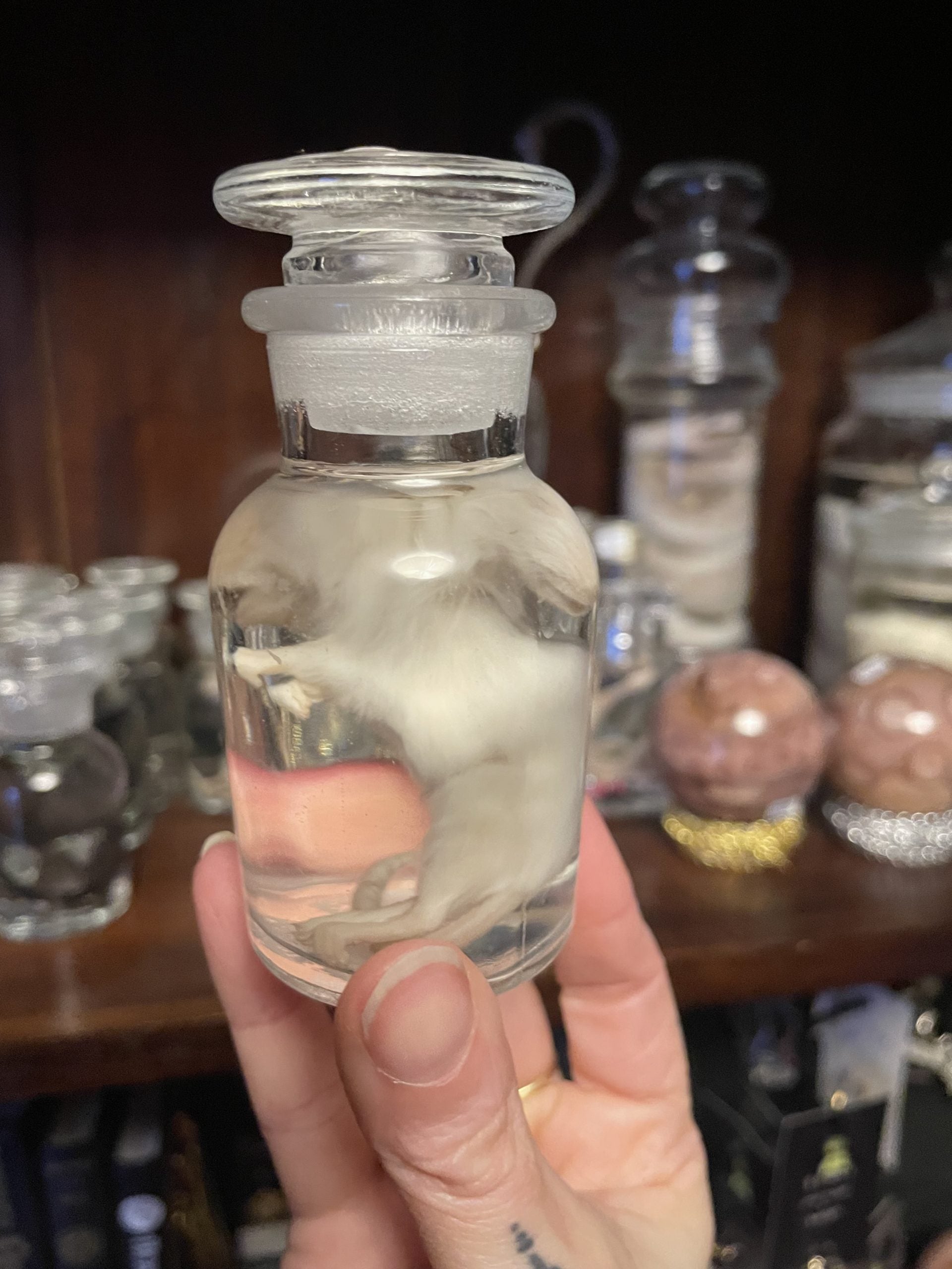 tweehoofdige muis apotheekfles S - sterk water