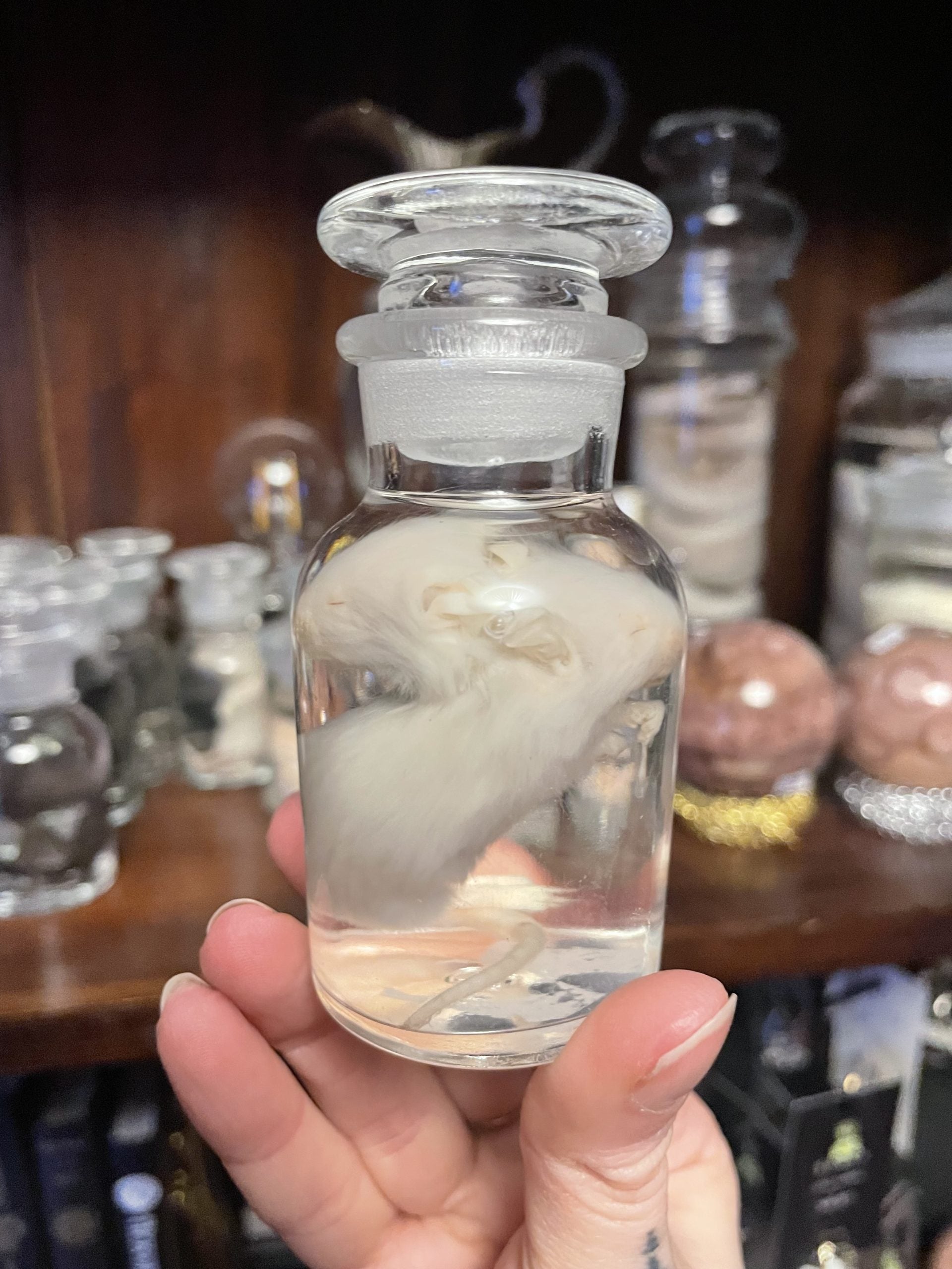 tweehoofdige muis apotheekfles S - sterk water