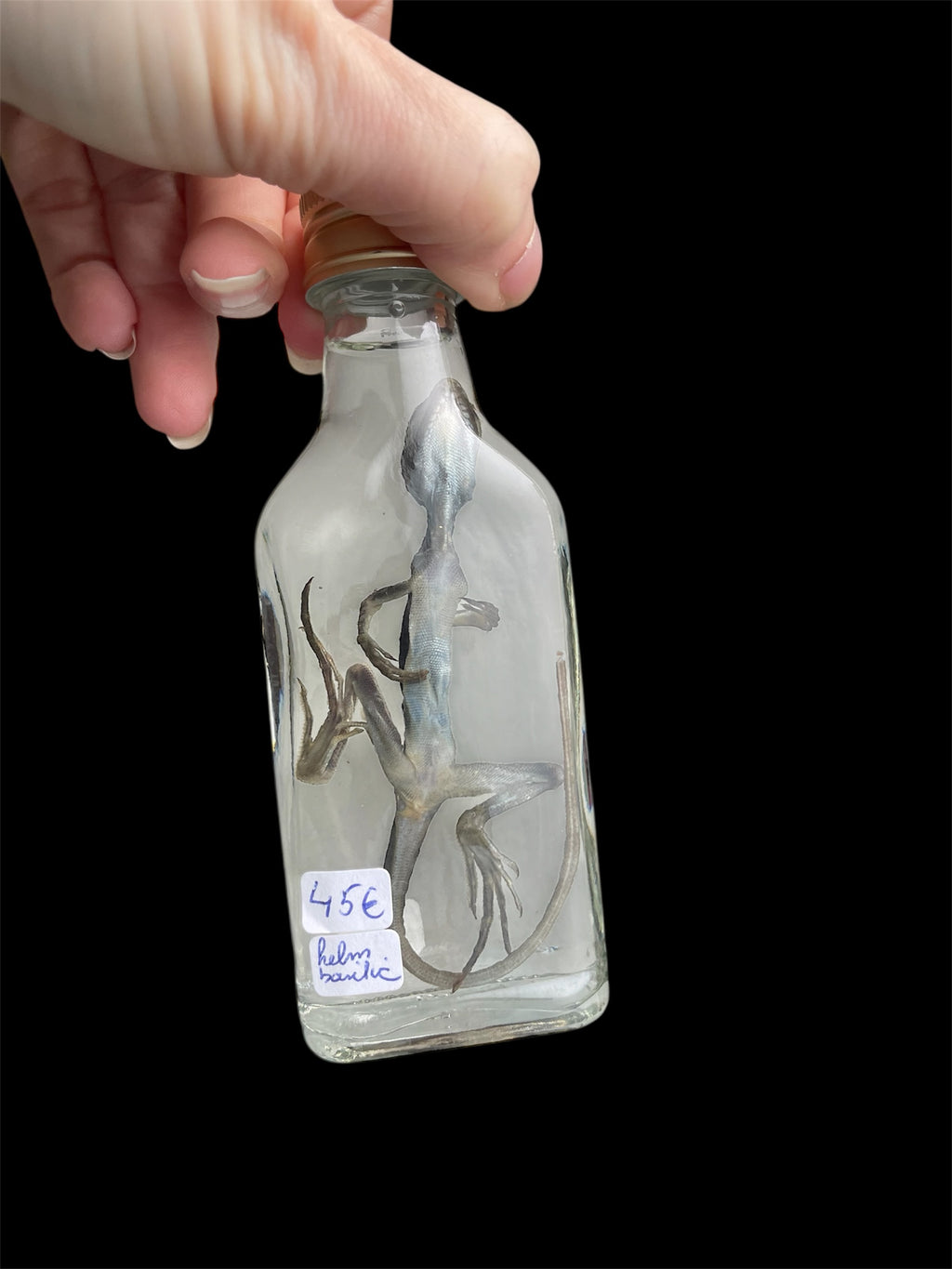 helmbasilik fles S - sterk water