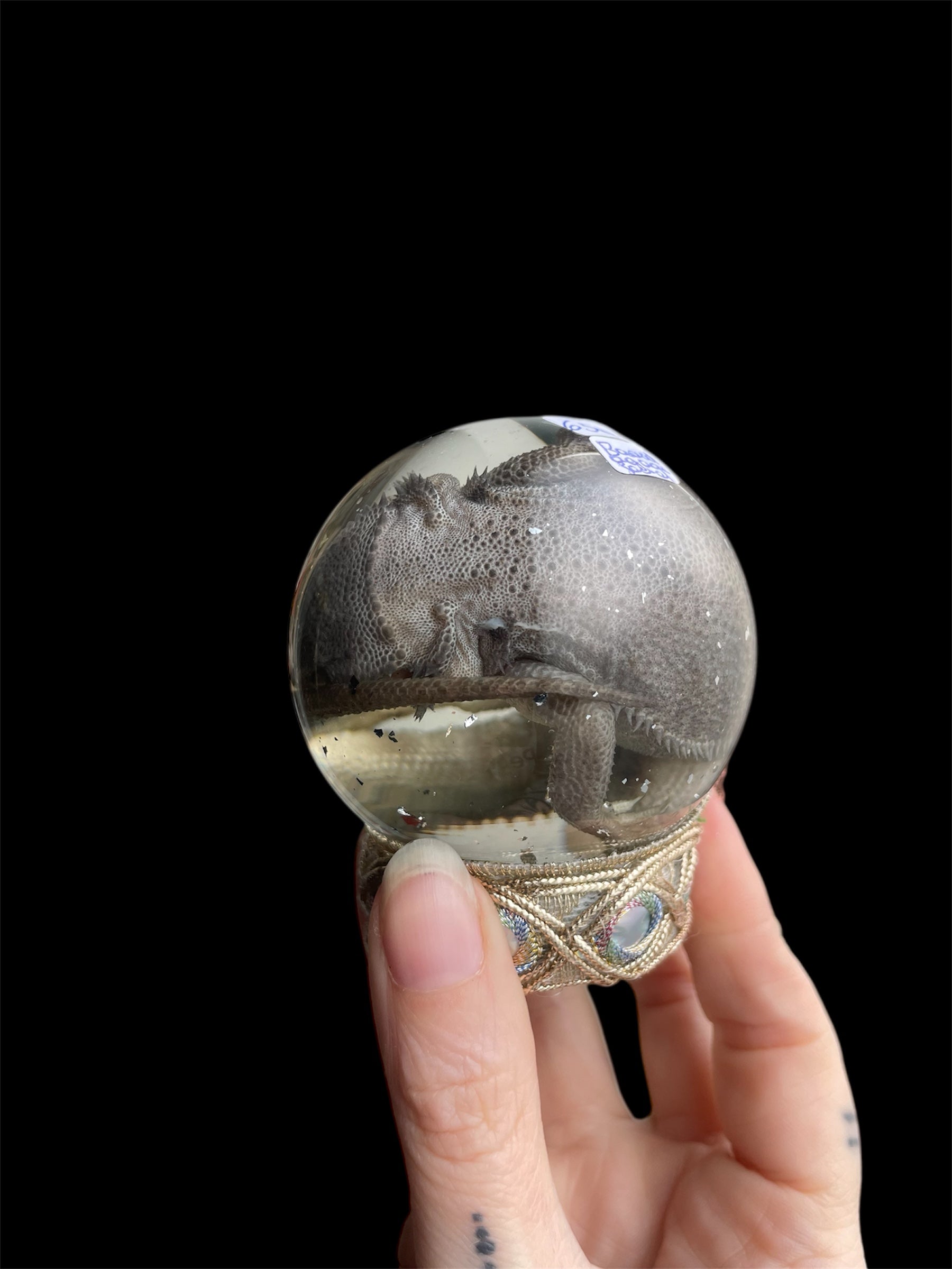 baardagaam bol S - sterk water