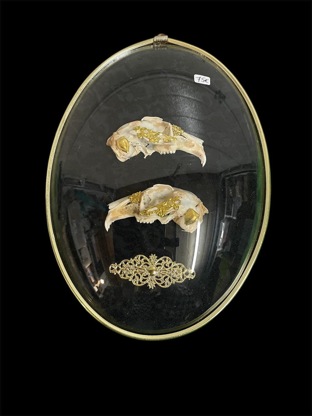 kader schedel konijn ovaal A