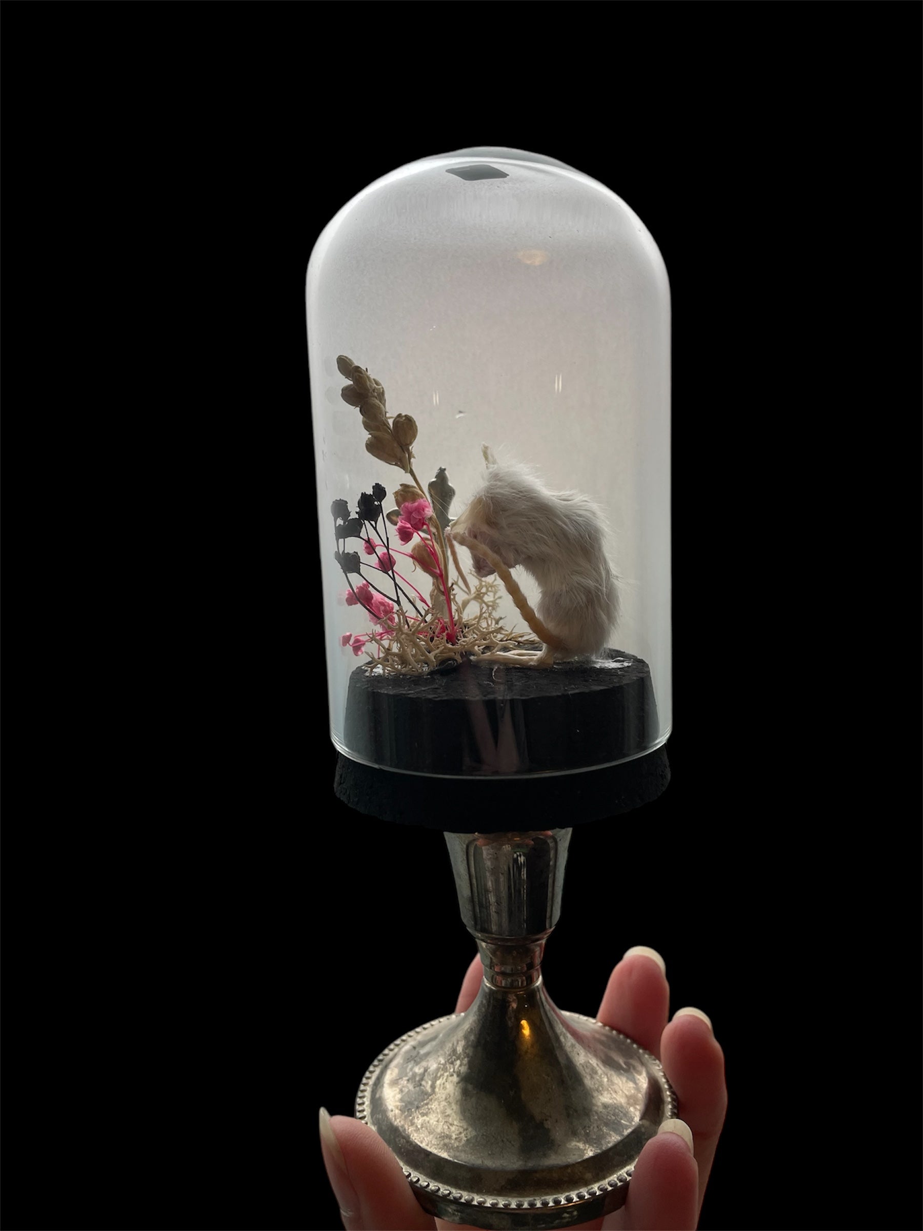 glazen stolp rouwend muisje A