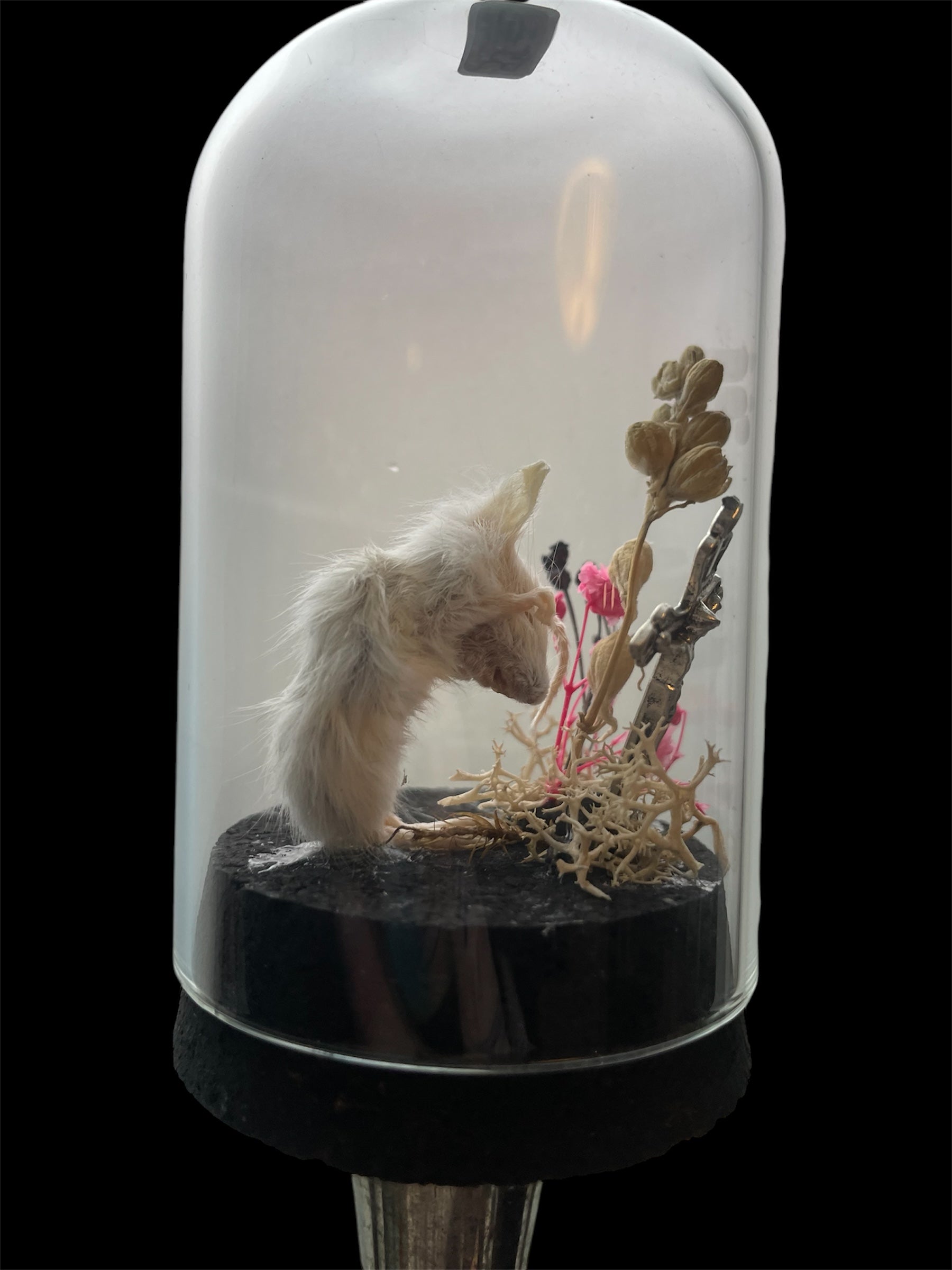 glazen stolp rouwend muisje A