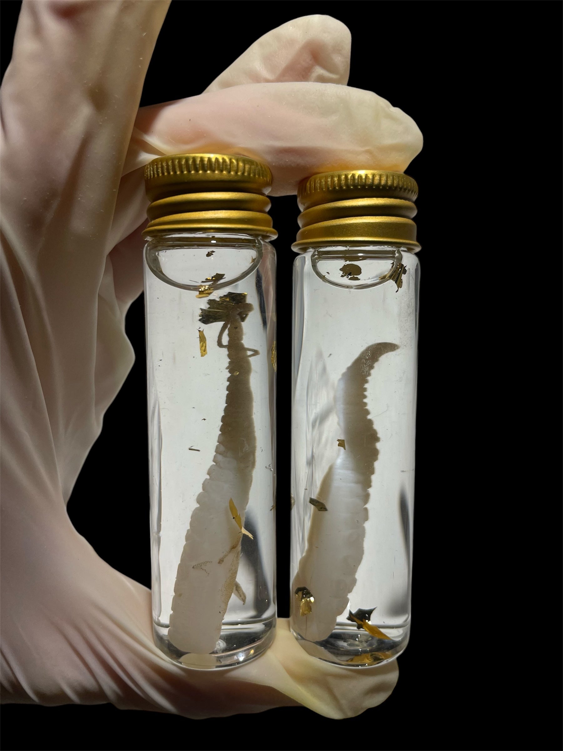 octopus tentakel buisje - sterk water - per stuk