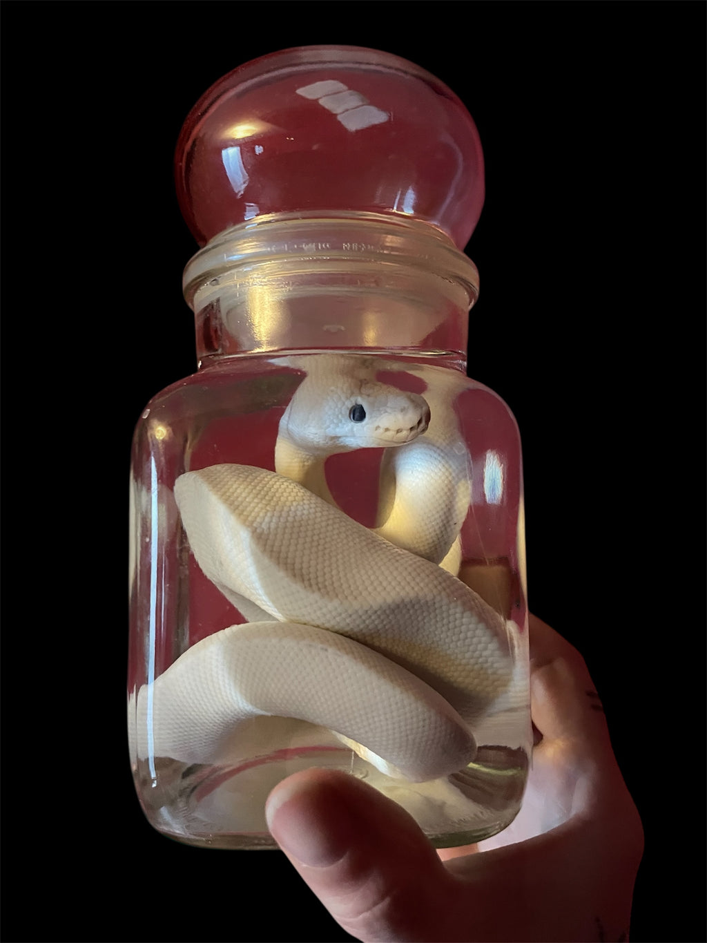 python wit pot M - sterk water