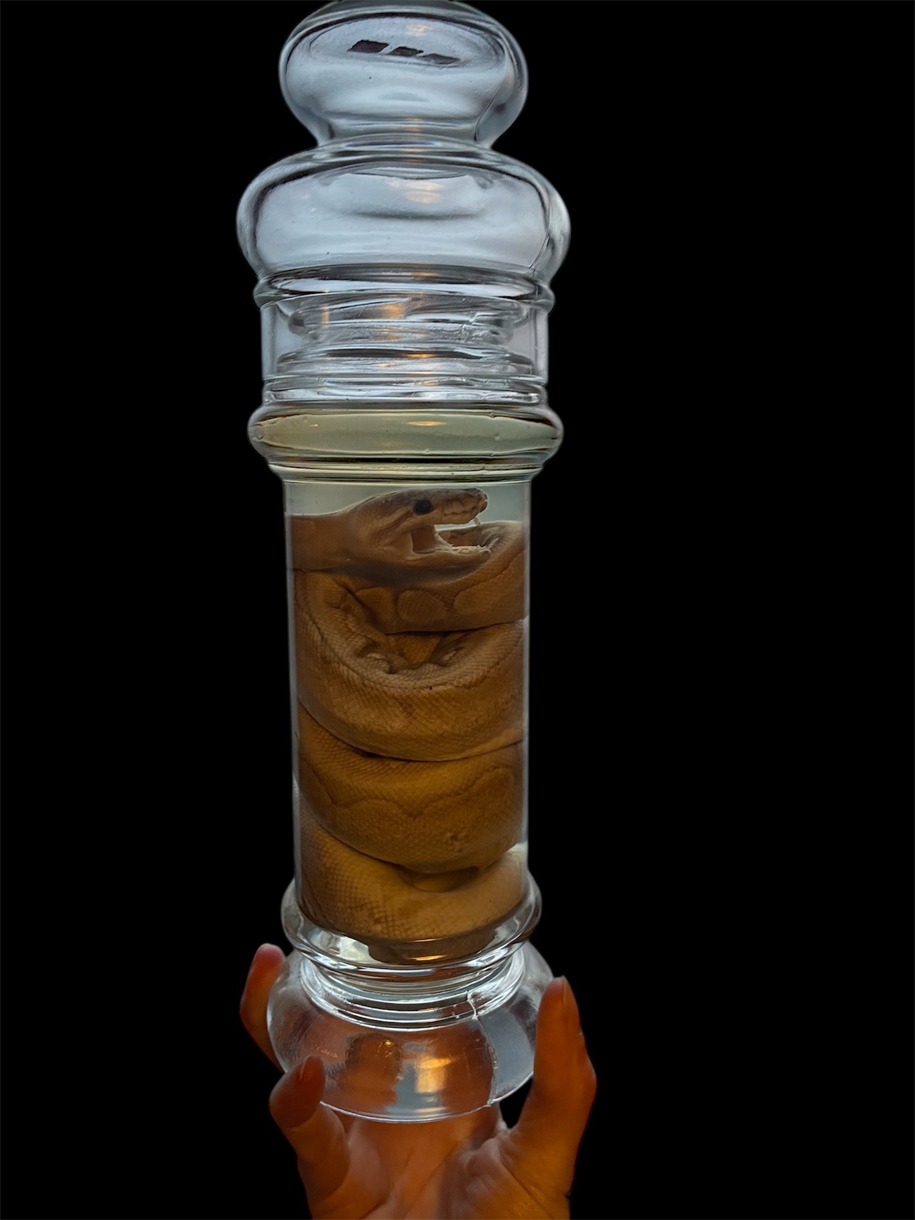 python beige hoge fles L (geen rubber in deksel) - sterk water