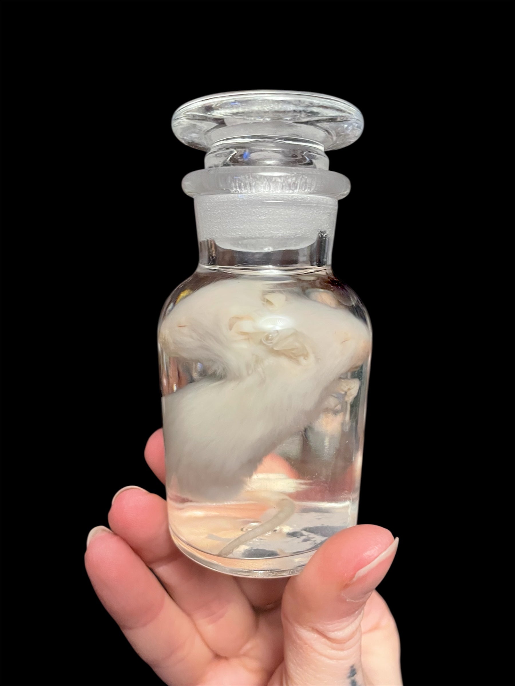 tweehoofdige muis apotheekfles S - sterk water