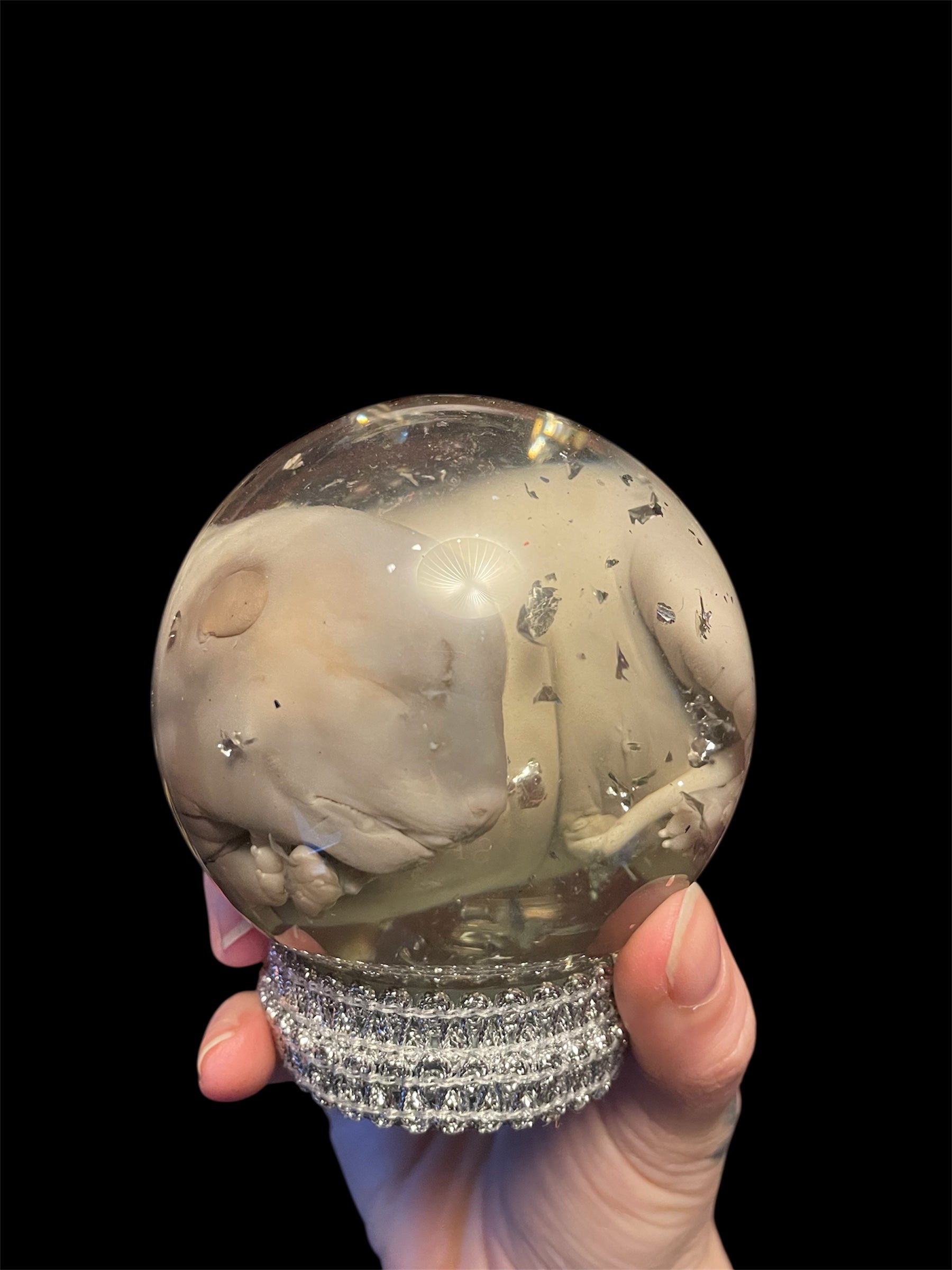 embryo puppy bol M - sterk water