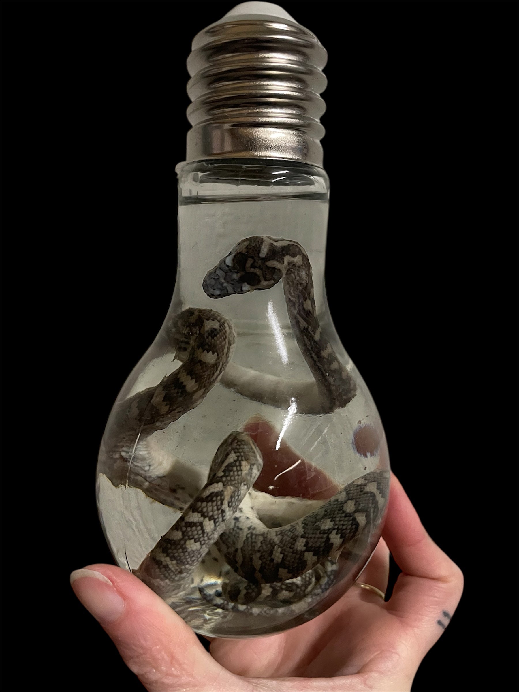 tapijt python lampvormige fles M - sterk water