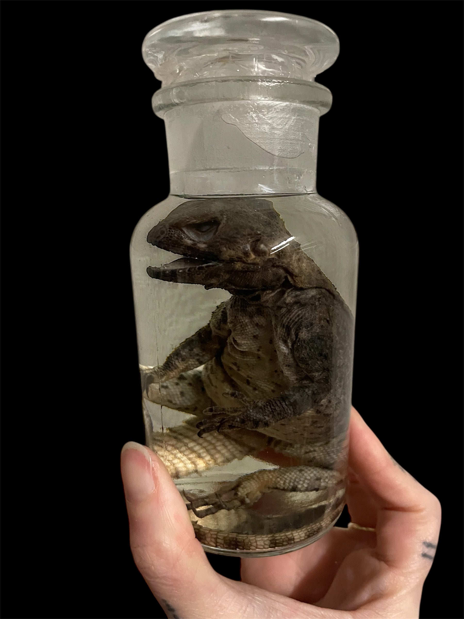 stelio agaam apotheekfles M - sterk water