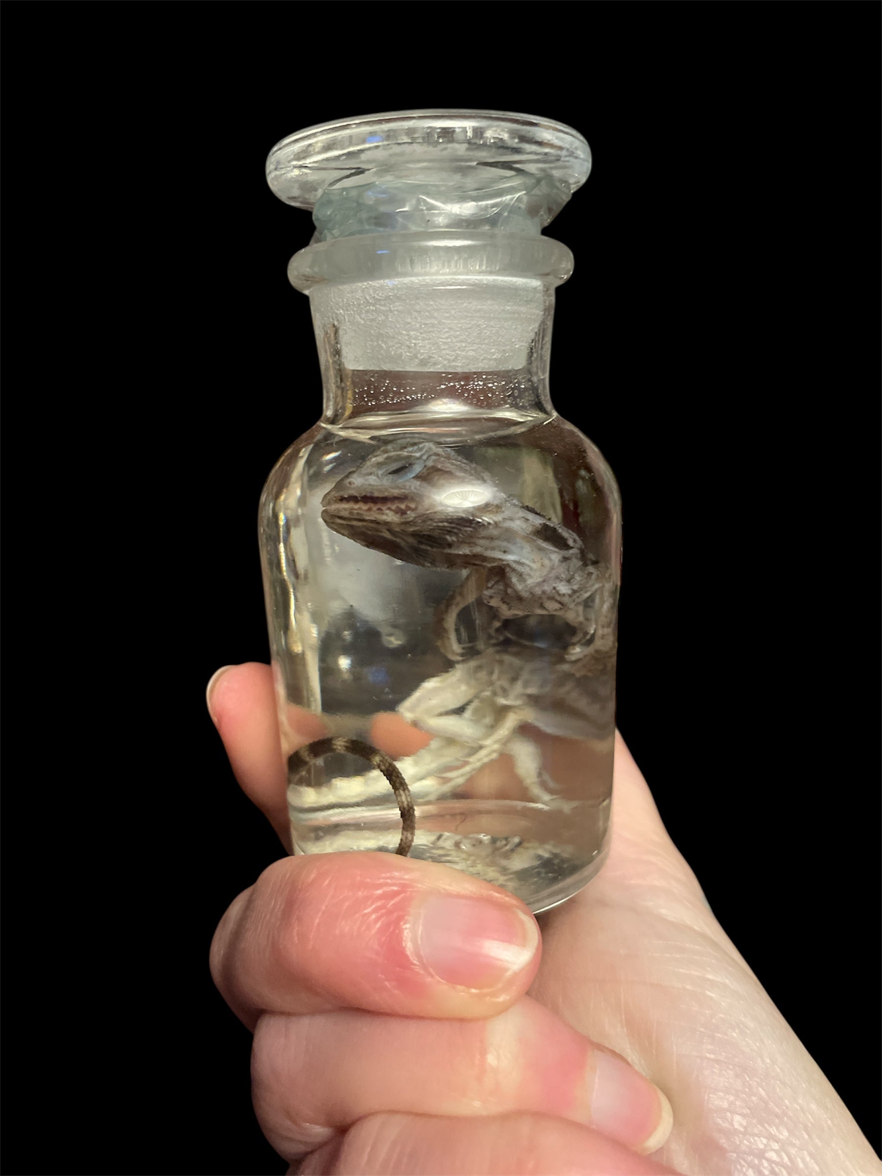 baardagaam  apotheekfles S - sterk water