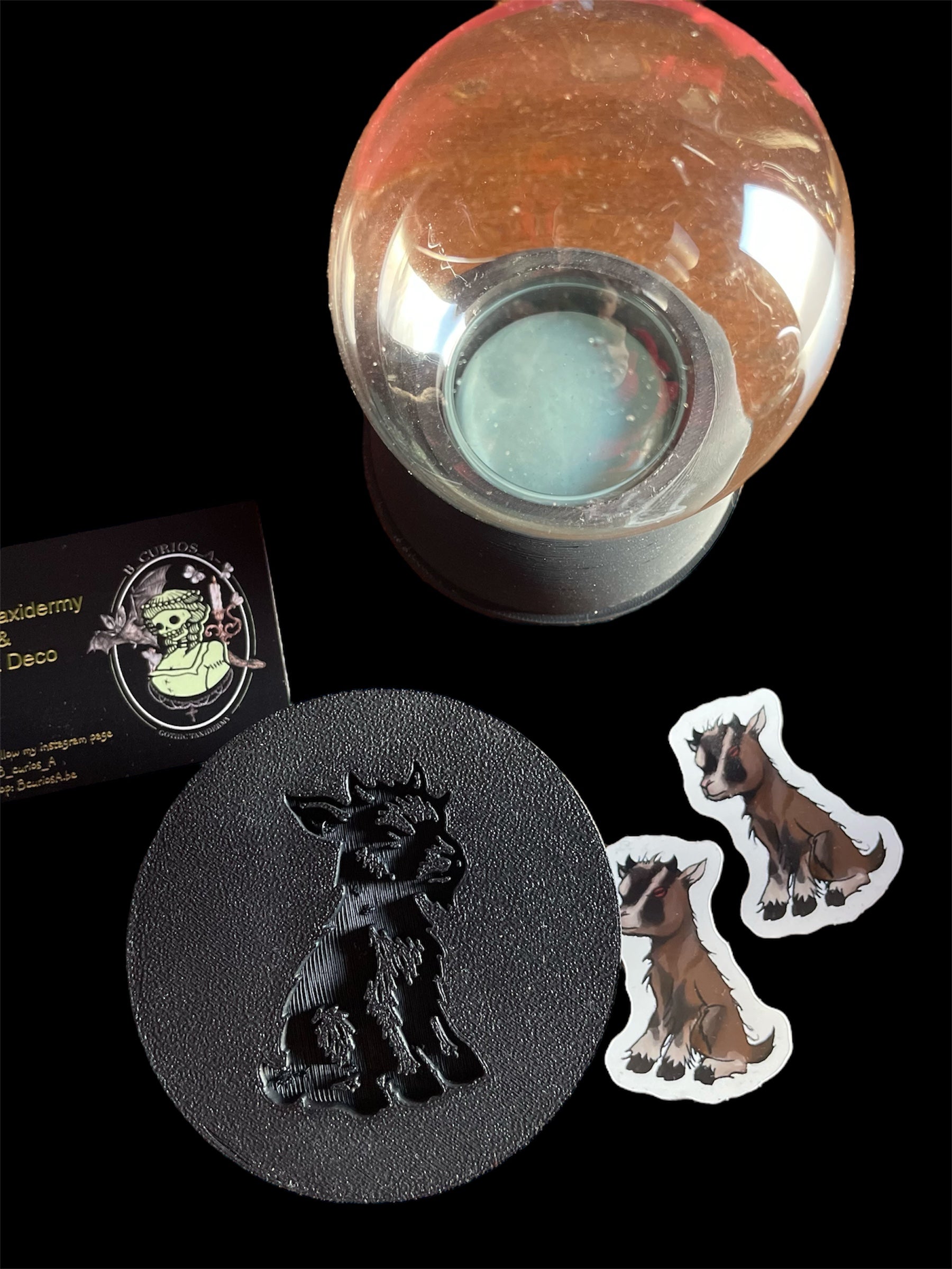 voetje M wet specimen globe