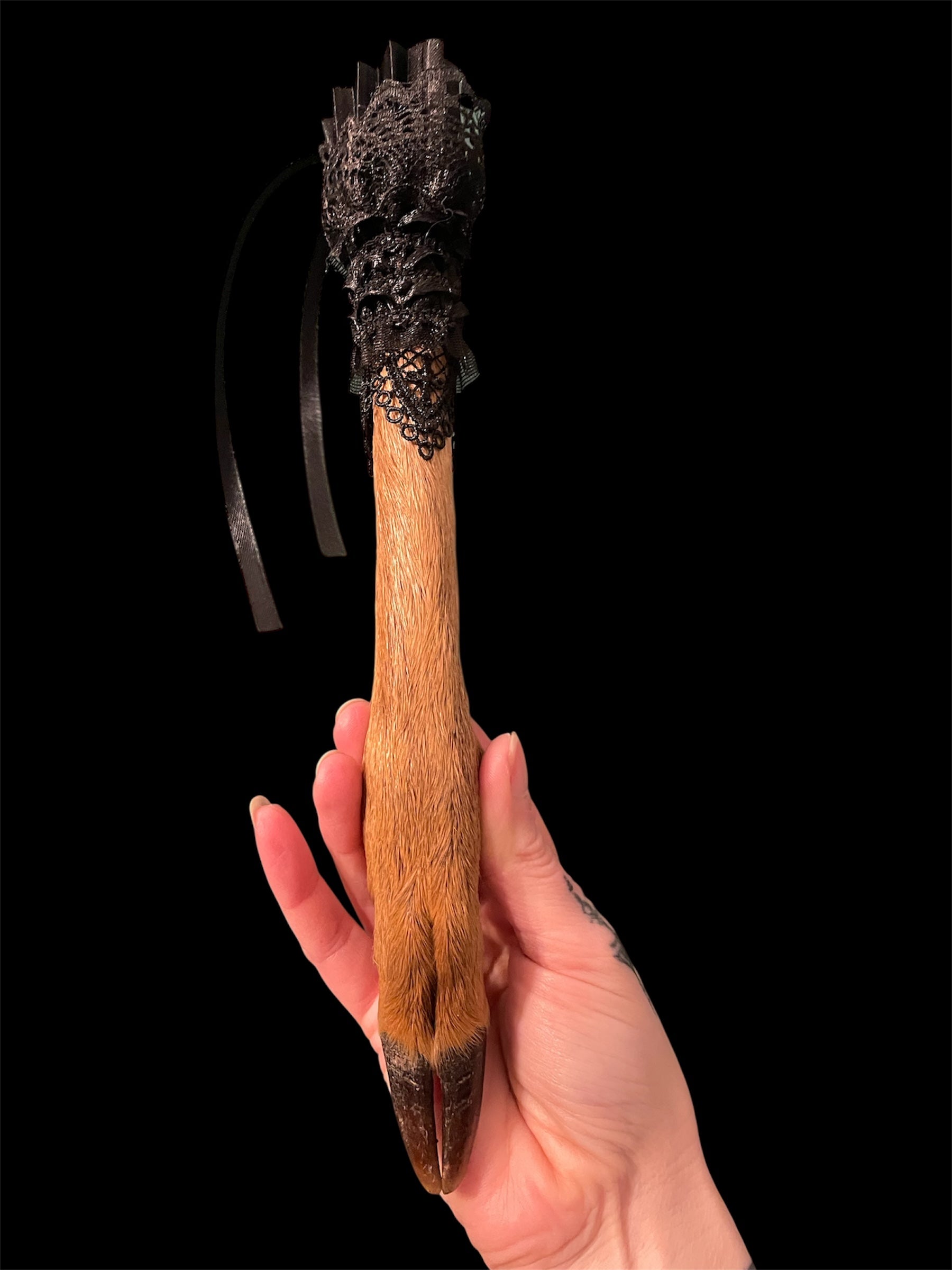 pootje hert met kraagje A