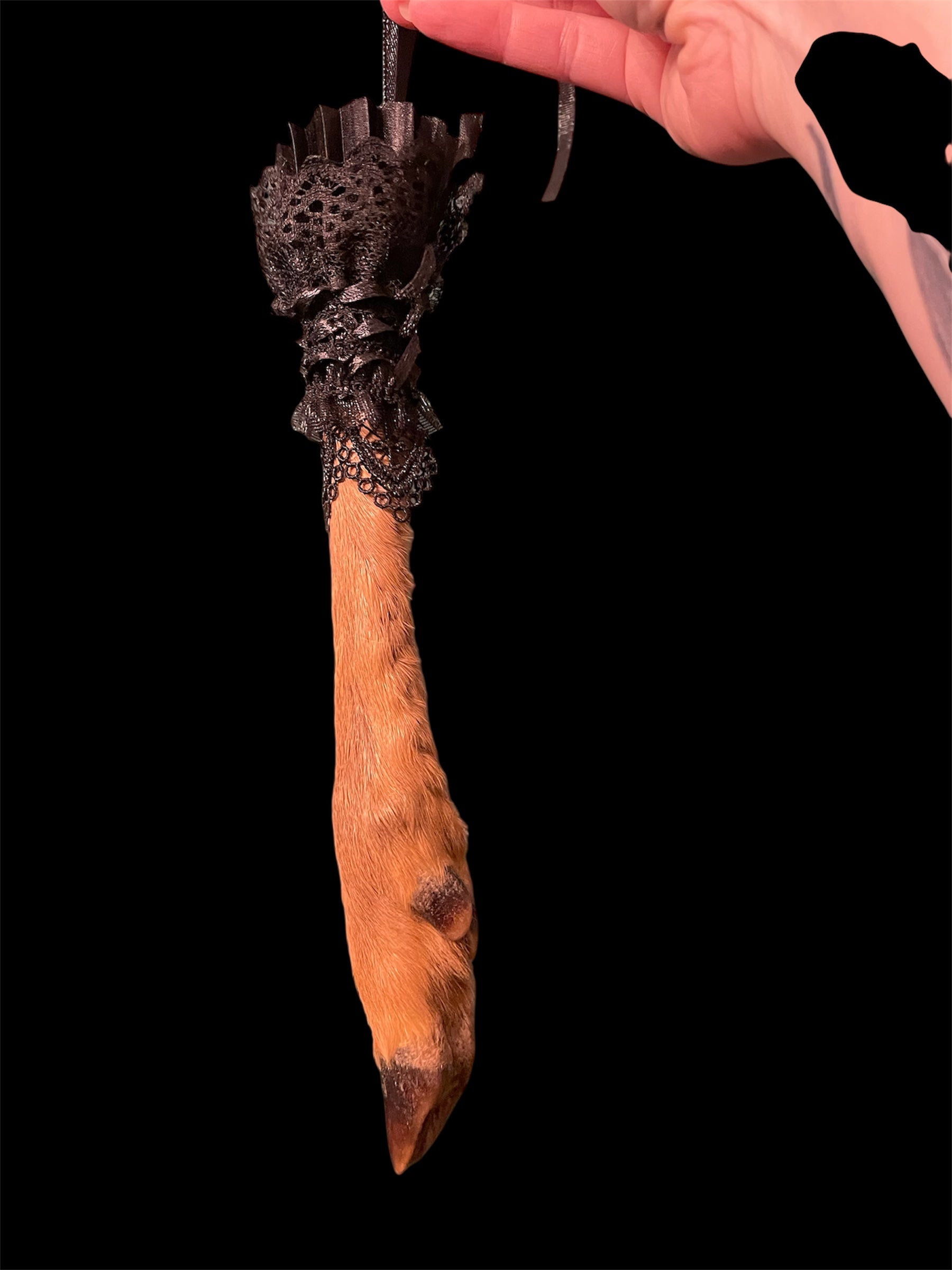 pootje hert met kraagje A