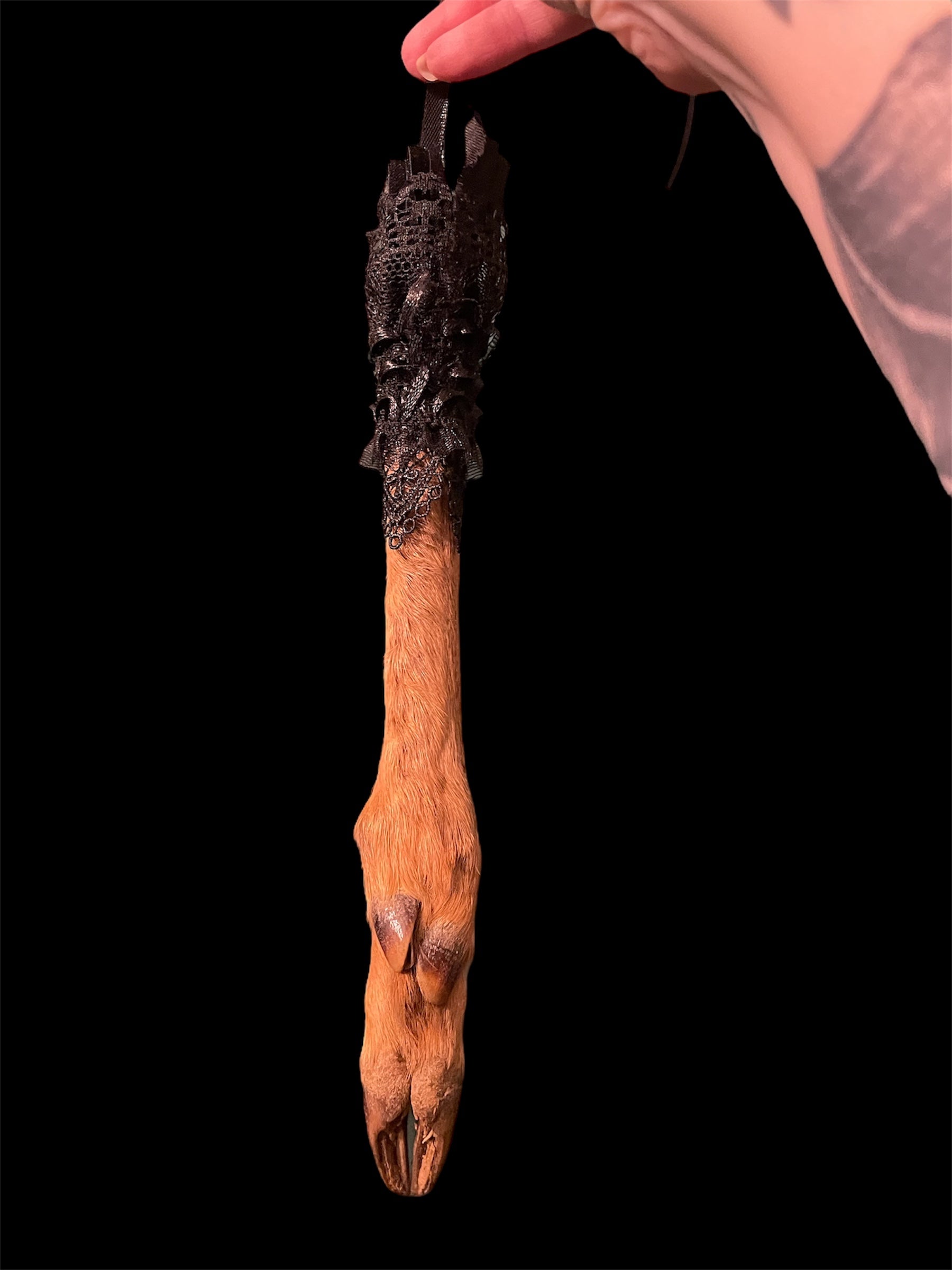 pootje hert met kraagje A