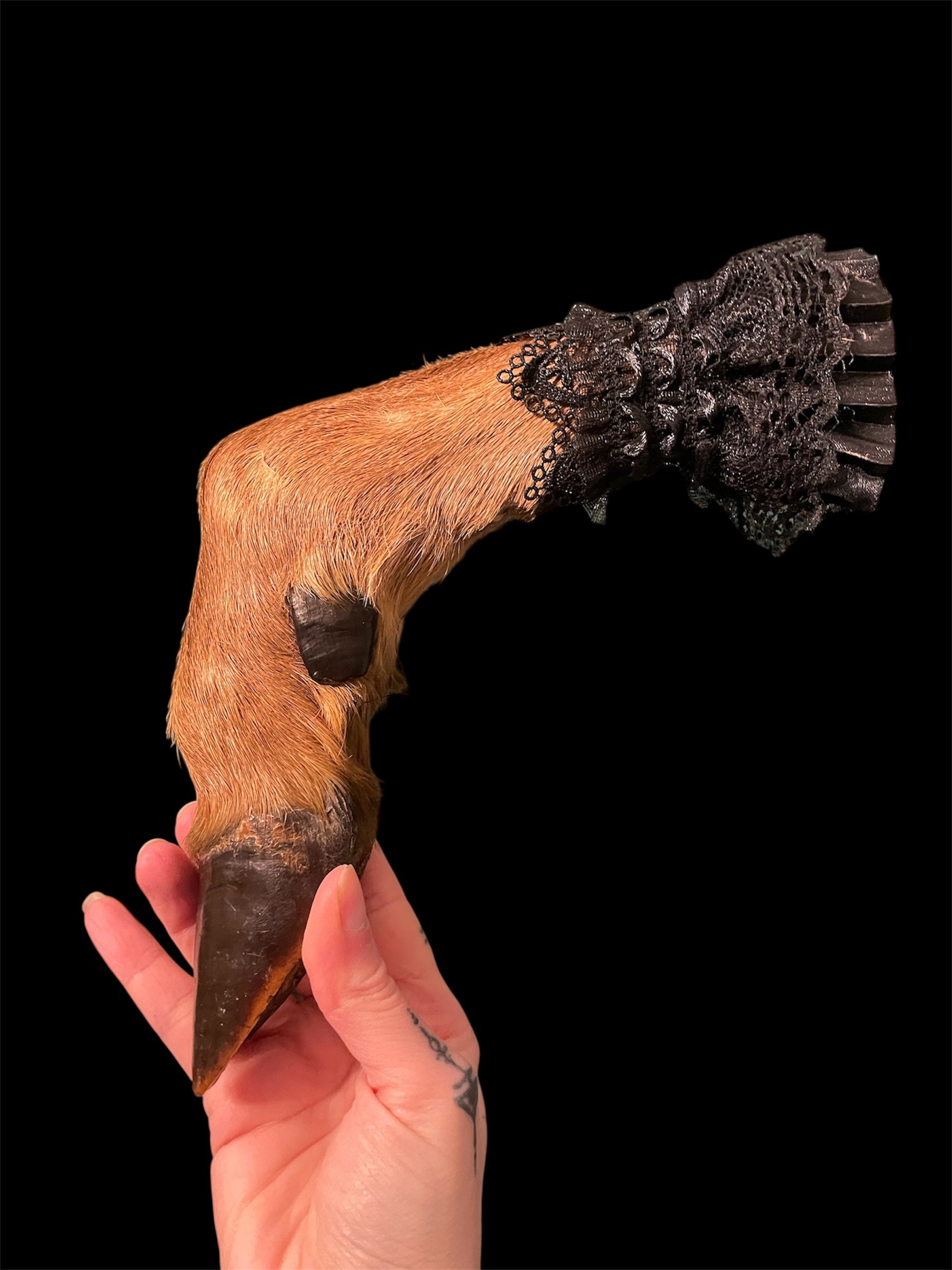 pootje hert met kraagje C