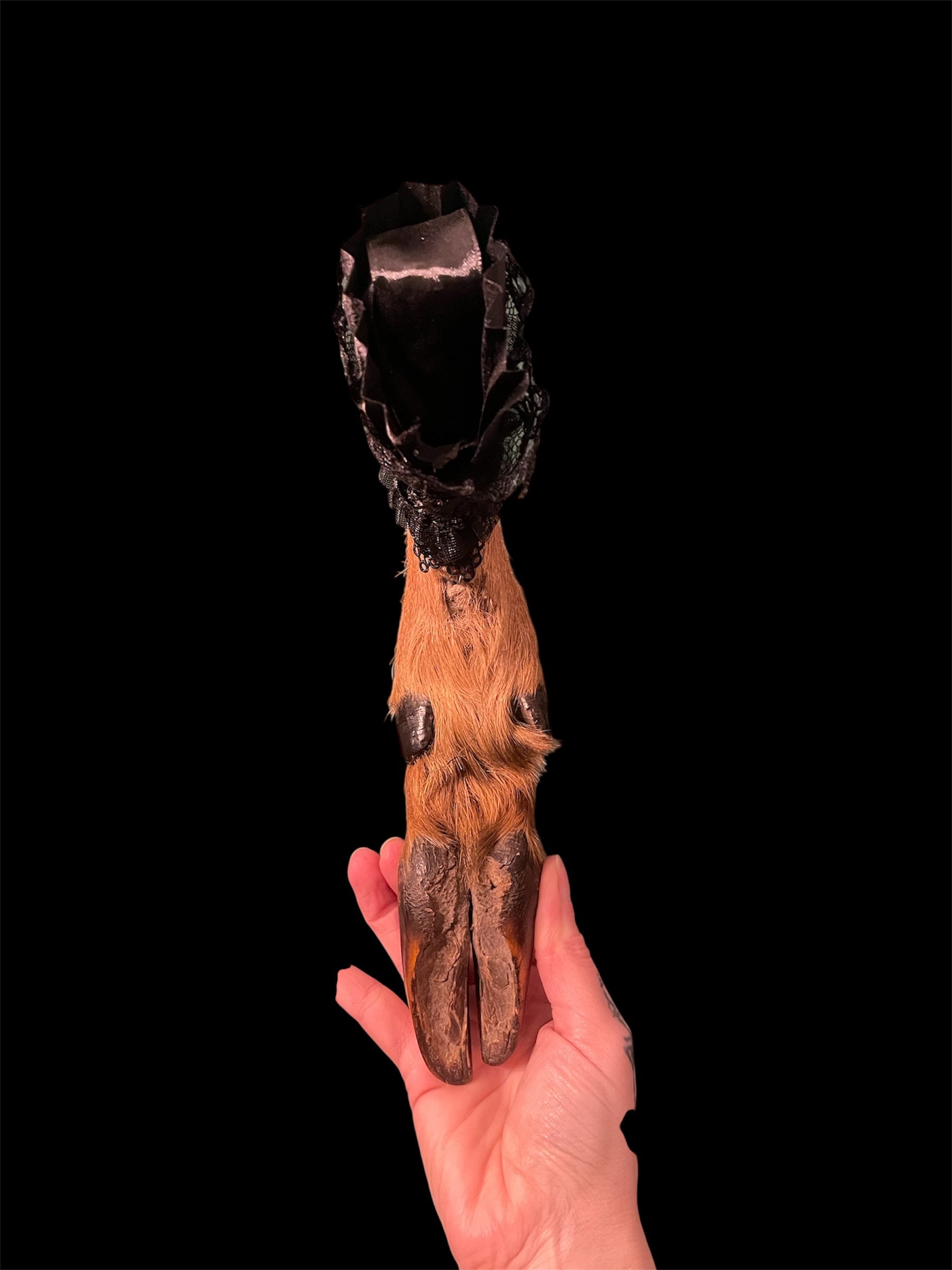 pootje hert met kraagje C