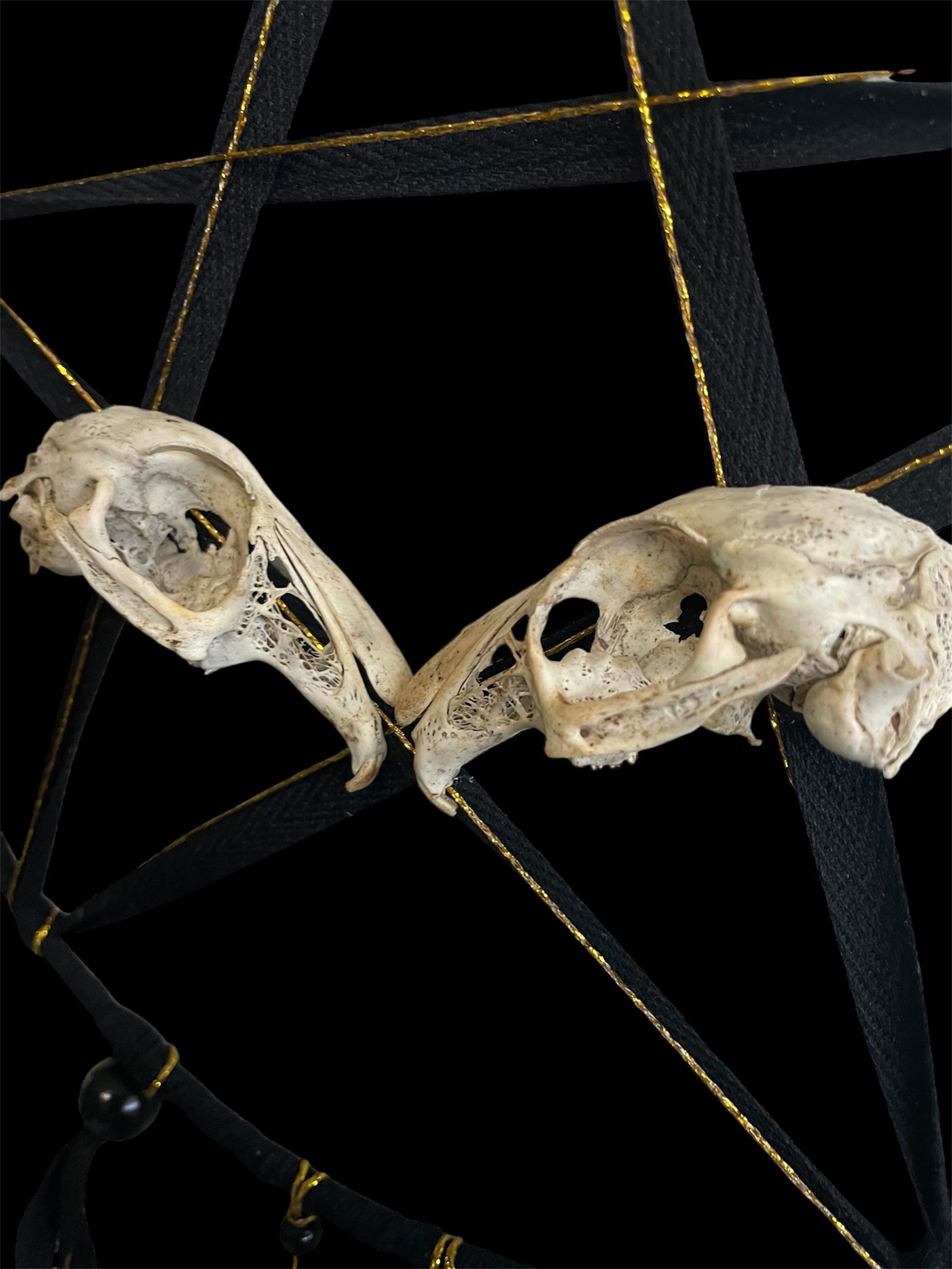 Skull totem - Sigrùn M