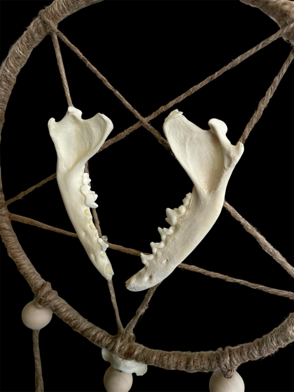 Skull totem - Ragnheior S