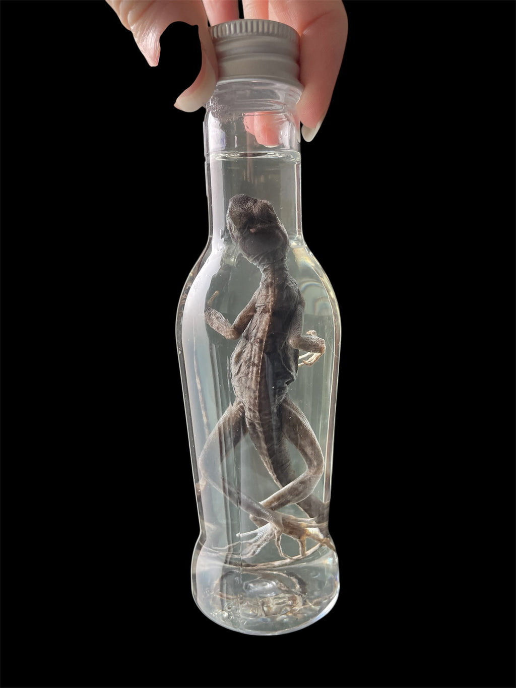 helmbasilik fles plexi S - sterk water