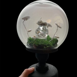 glazen bol lichtgevende paddenstoelen en taxidermie muis