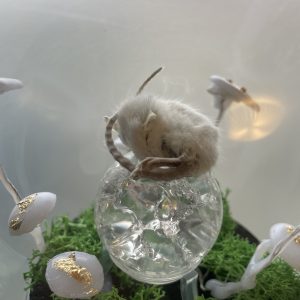 glazen bol lichtgevende paddenstoelen en taxidermie muis