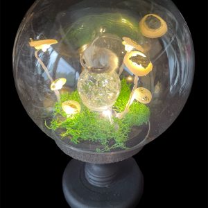 glazen bol lichtgevende paddenstoelen en taxidermie muis