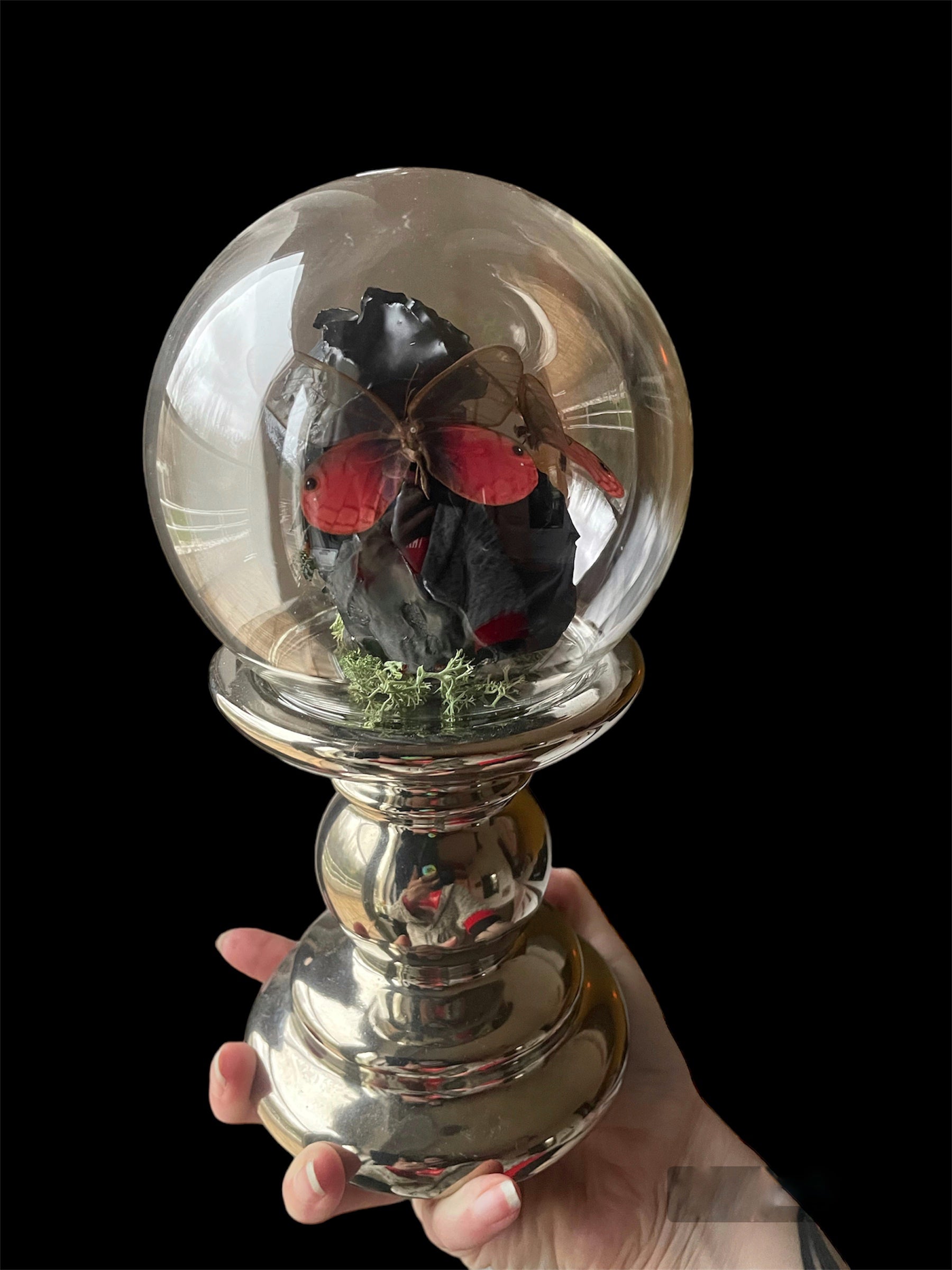 glazen bol vlinders op wax rozen